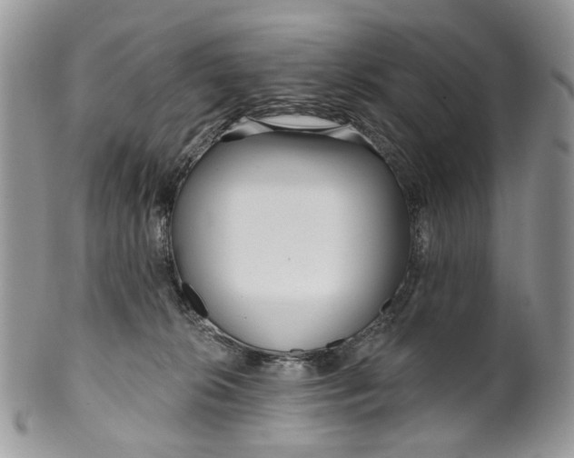 X0000099960276200806131517