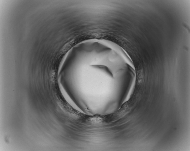 X0000099960279200806131517