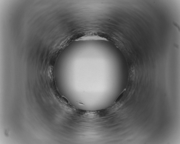 X0000099960280200806131517