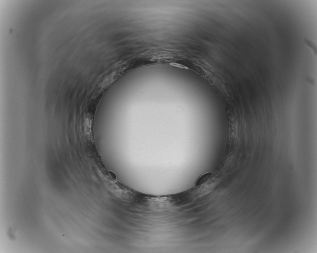 X0000099960281200806131517