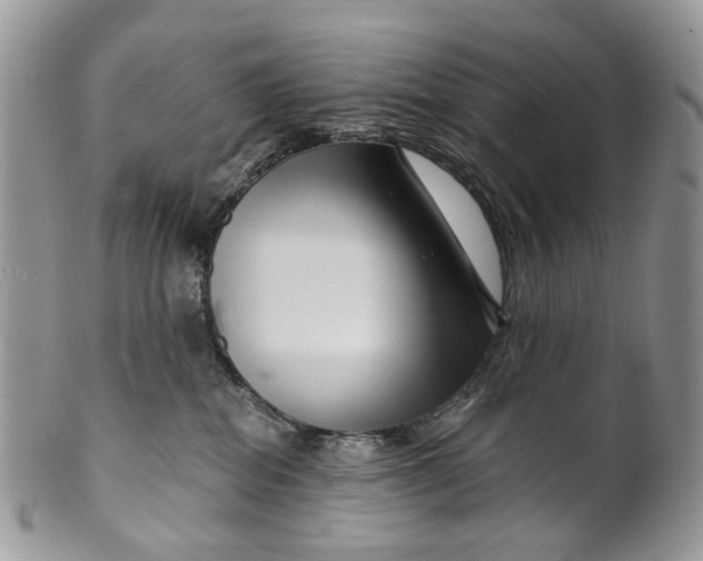 X0000099960282200806131517