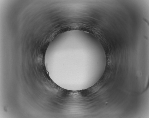 X0000099960283200806131517