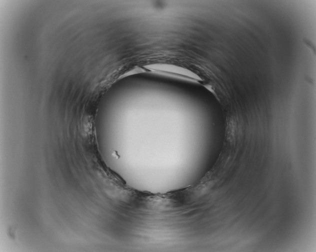 X0000099960284200806131517