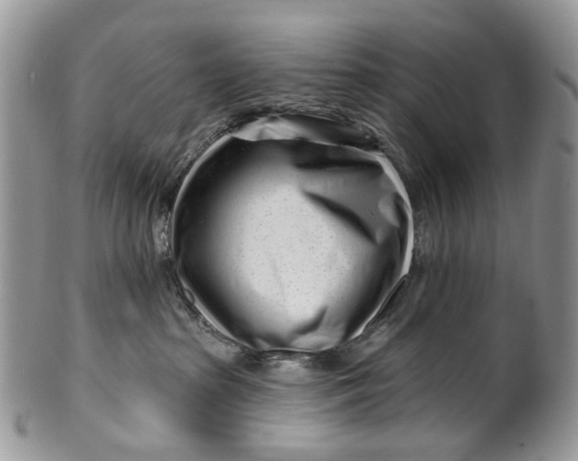 X0000099960285200806131517