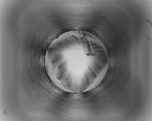 X0000099960286200806131517