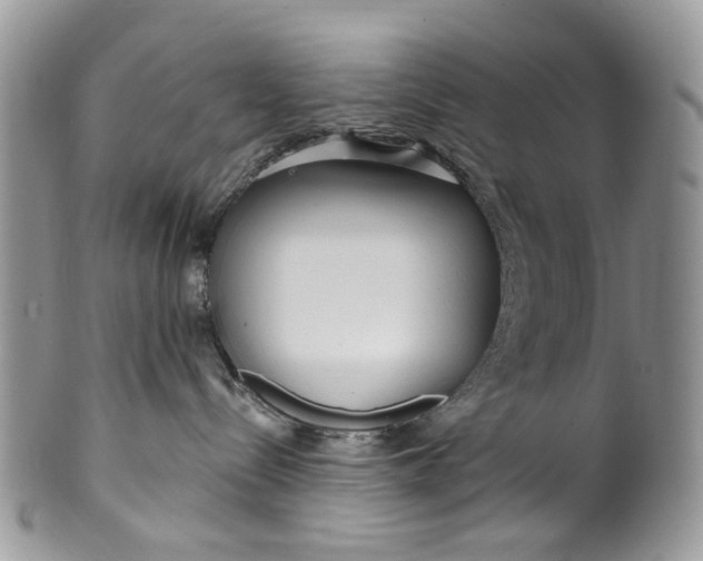 X0000099960288200806131517