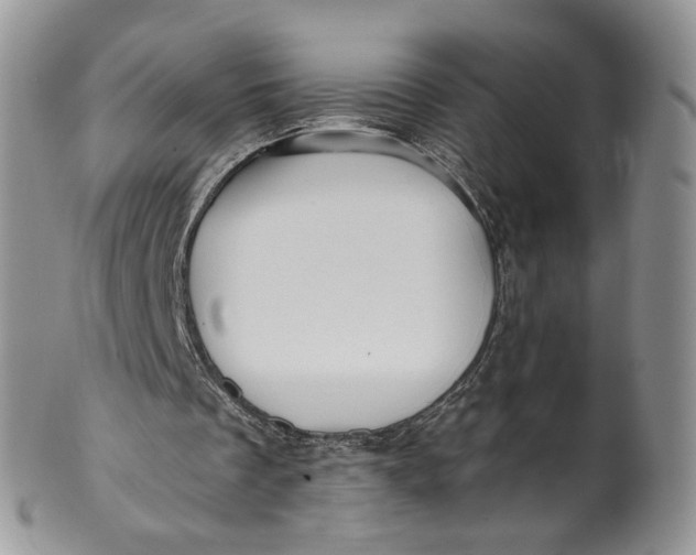 X0000099960289200806131516