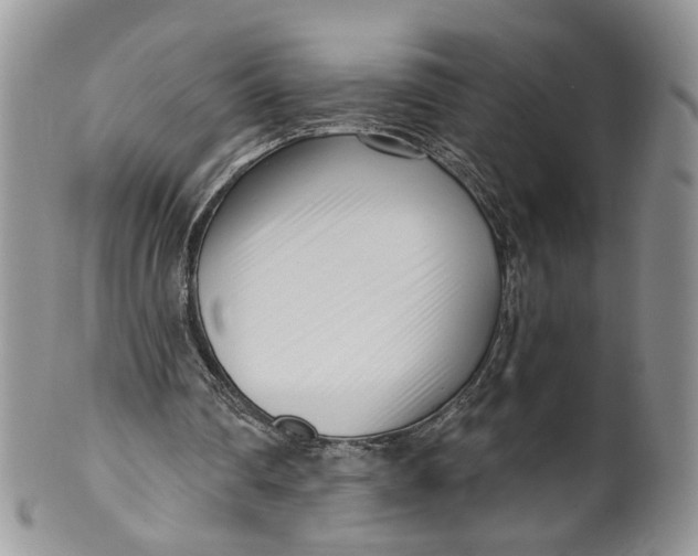 X0000099960290200806131516