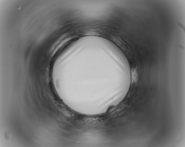 X0000099960291200806131516