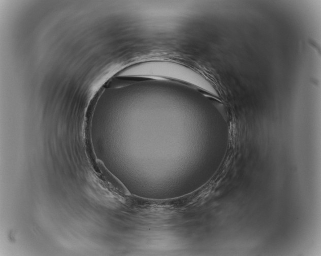 X0000099960292200806131516