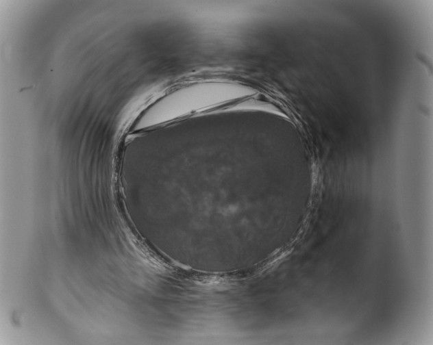 X0000099960293200806131516