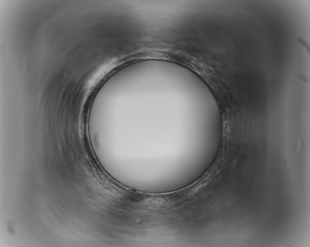 X0000099960294200806131516