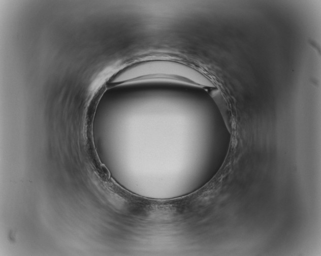 X0000099960296200806131516