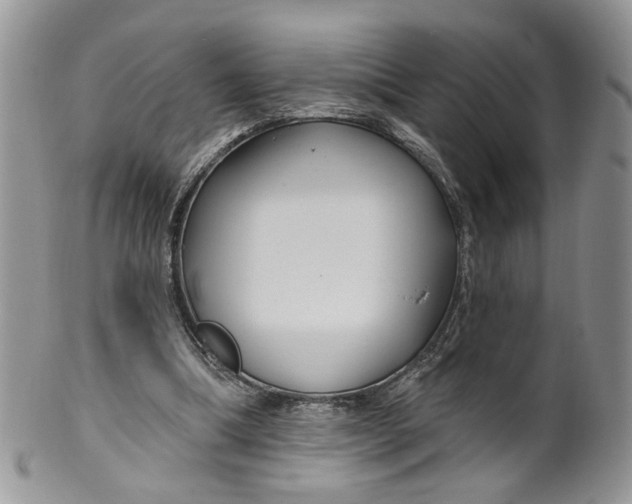 X0000099960298200806131516