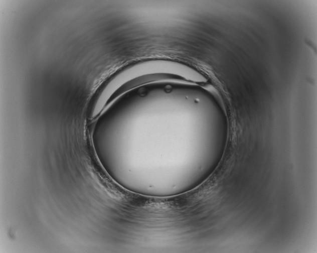 X0000099960299200806131516