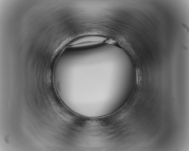 X0000099960300200806131516