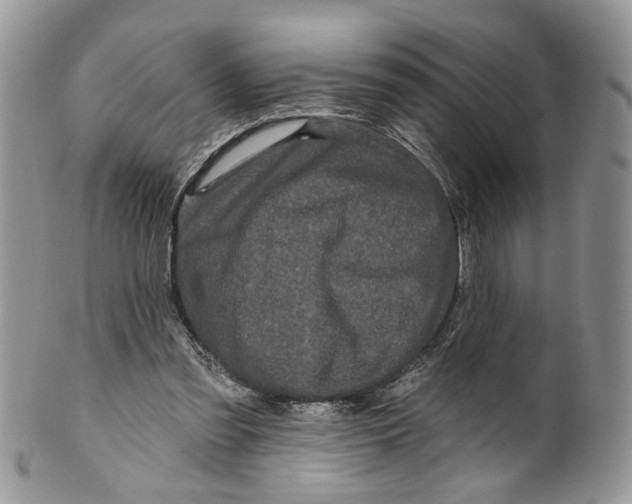 X0000099960301200806131516