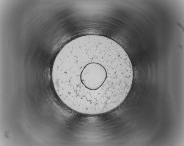 X0000099960302200806131516