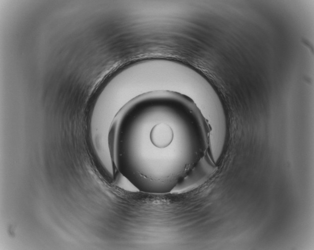 X0000099960304200806131516