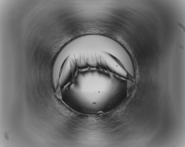 X0000099960305200806131516