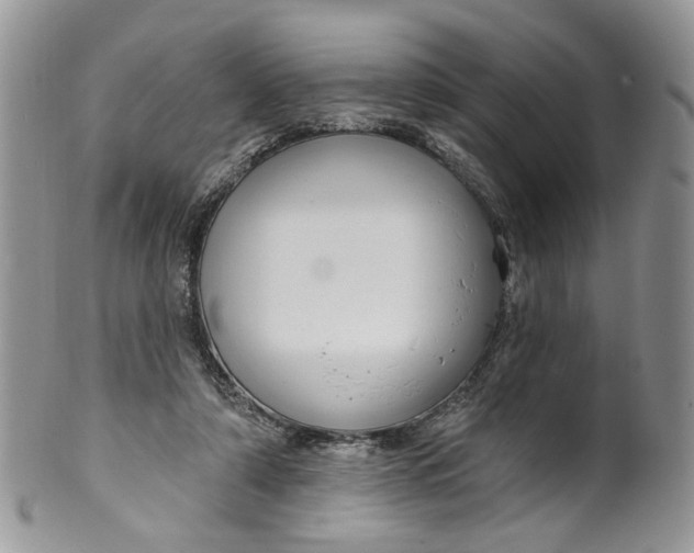 X0000099960306200806131516