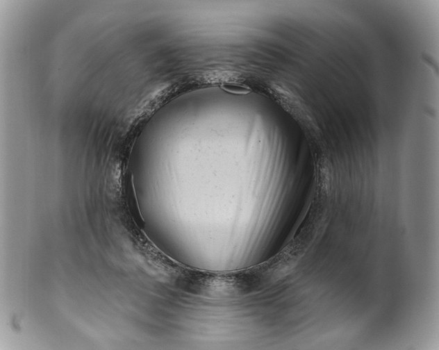 X0000099960308200806131516