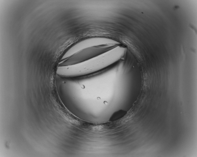 X0000099960309200806131516