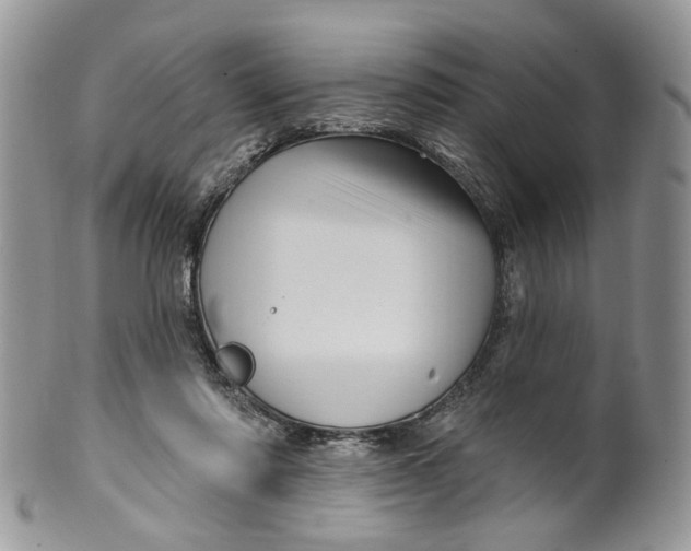 X0000099960310200806131516