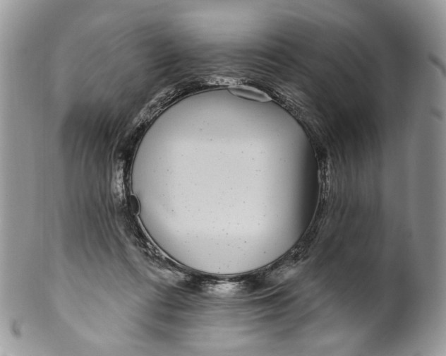 X0000099960312200806131516