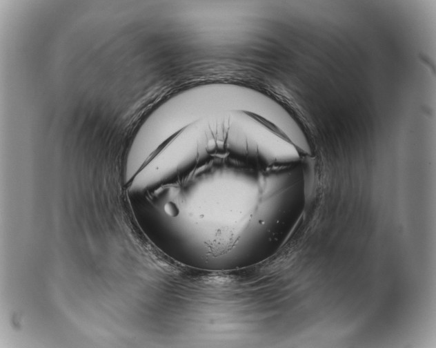 X0000099960313200806131516