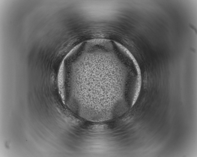 X0000099960314200806131516