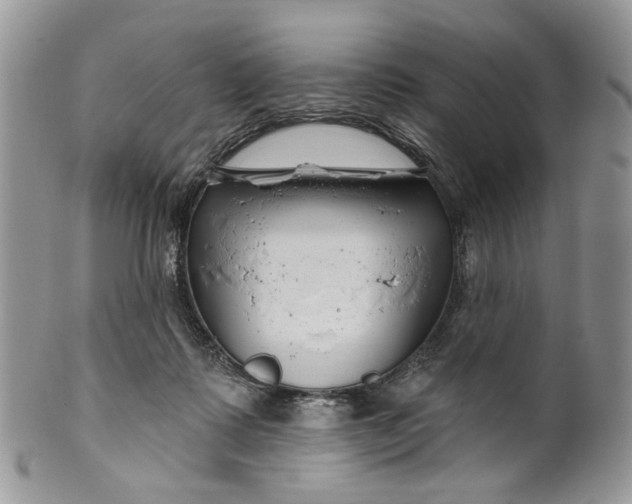 X0000099960315200806131516