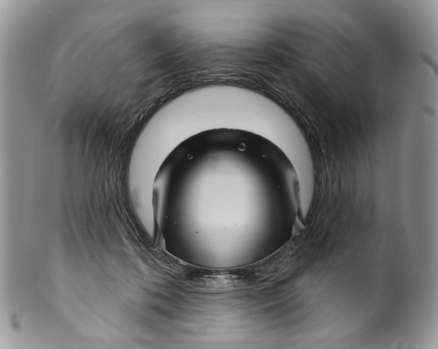 X0000099960316200806131516