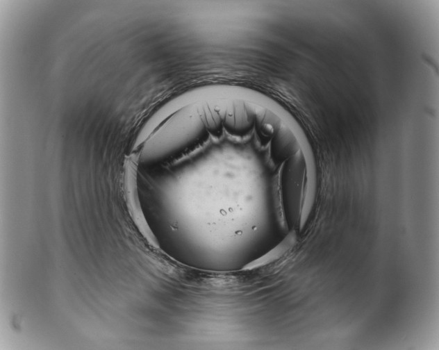 X0000099960317200806131516