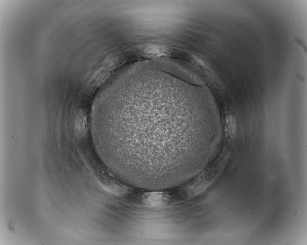 X0000099960320200806131516