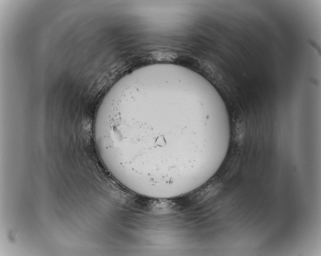 X0000099960321200806131516