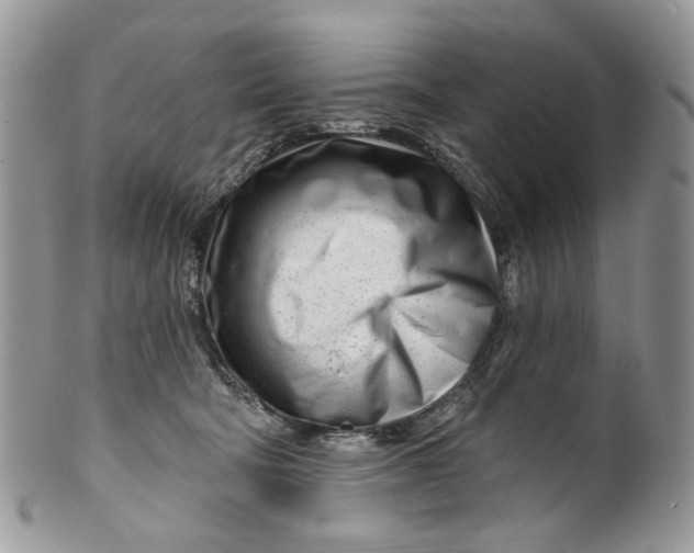 X0000099960322200806131516