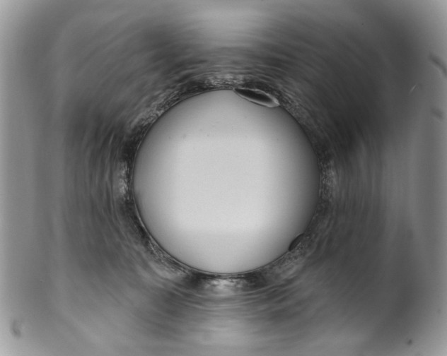 X0000099960323200806131516