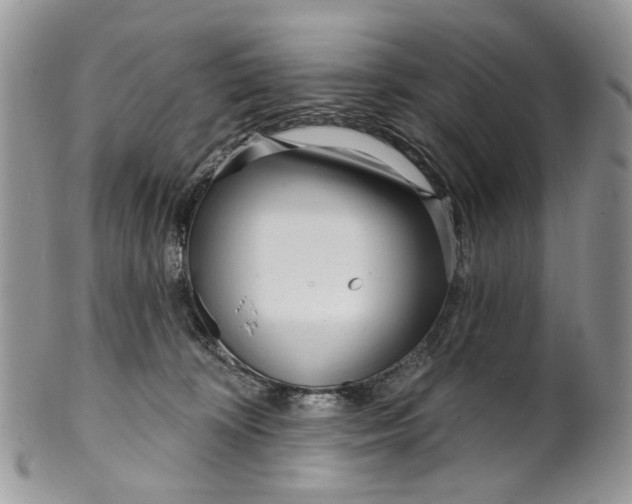 X0000099960324200806131516