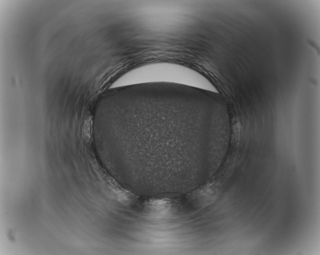 X0000099960325200806131516