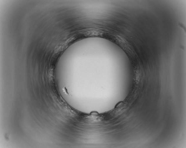 X0000099960326200806131516