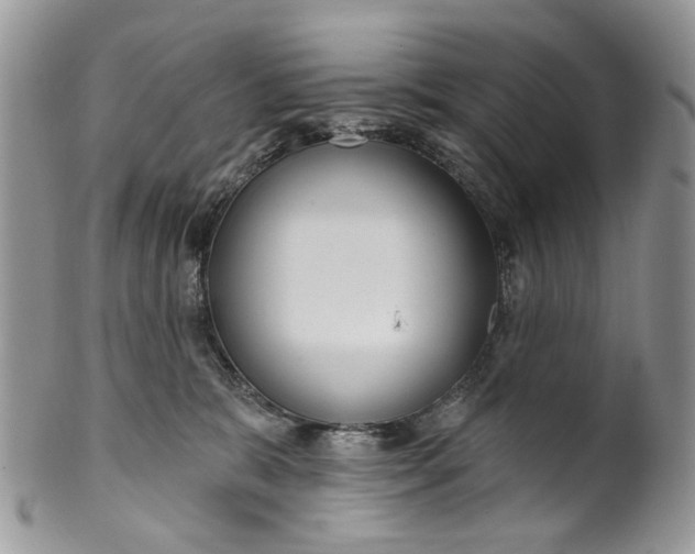 X0000099960327200806131516