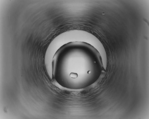 X0000099960328200806131516