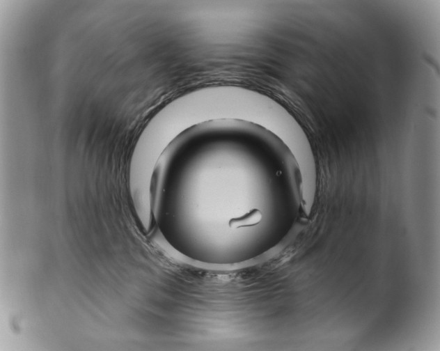 X0000099960329200806131516