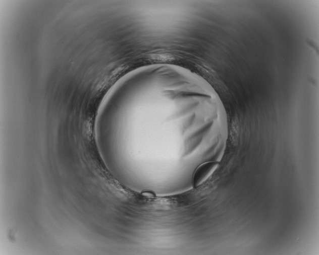 X0000099960330200806131516