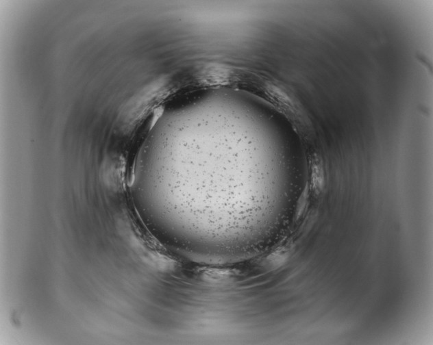 X0000099960332200806131516