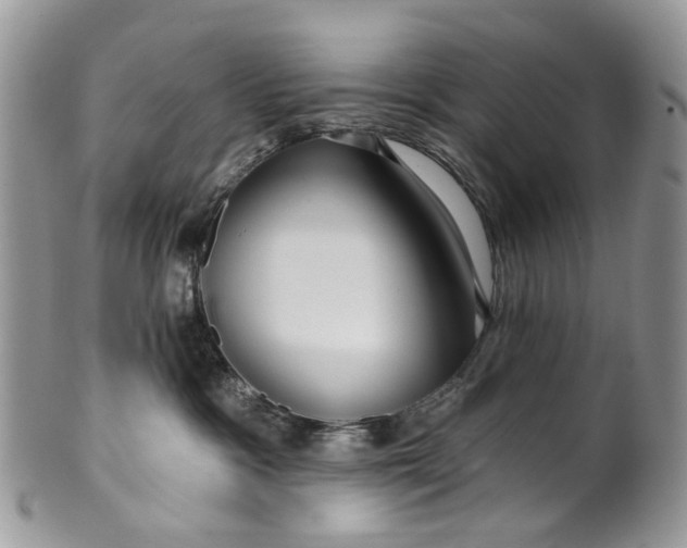 X0000099960333200806131516