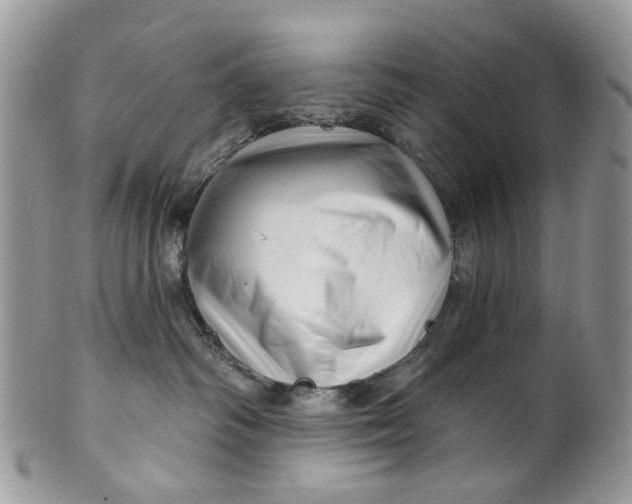 X0000099960334200806131516