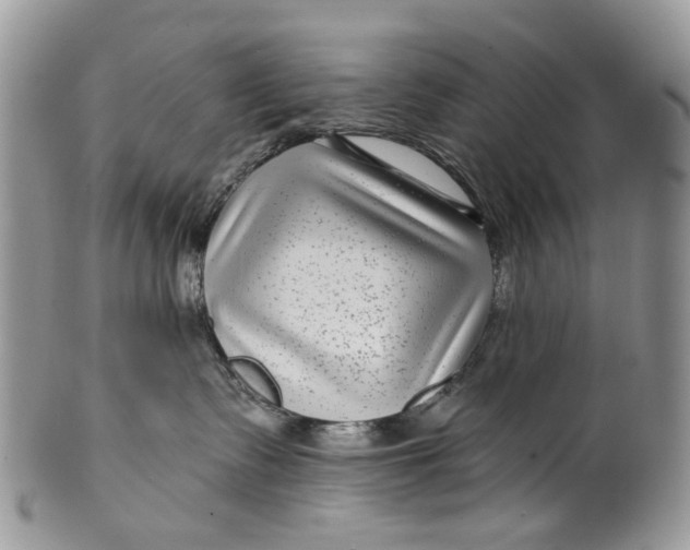 X0000099960335200806131516