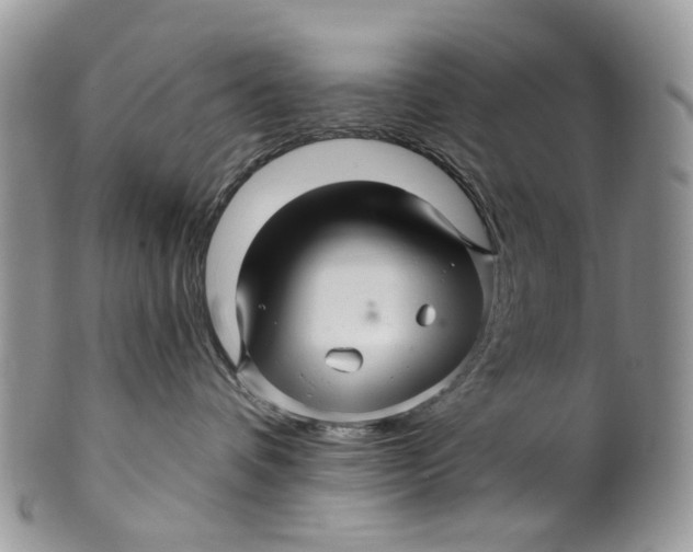 X0000099960336200806131516